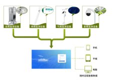 在番石榴的種植中，農業四情監測系統有何作用？